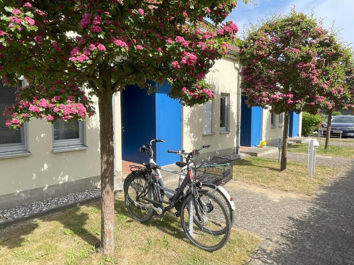 Ferienwohnung Achterwasser Mit Terrasse Dewichow Kültér fotó